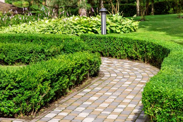Cost of Paved Landscaping in Woodinville