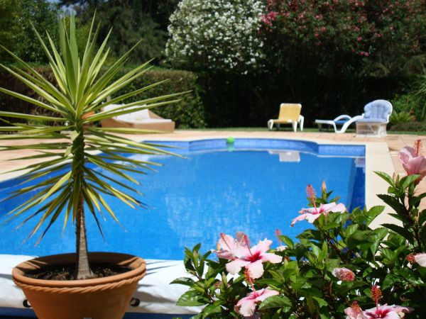 Cost of Pool Terrace Renovation in Woodinville