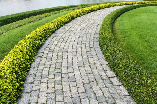 Sidewalk Pavers Installation in Woodinville